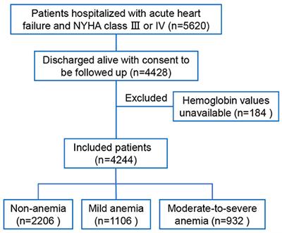 Association of On-Admission Anemia With 1-Year Mortality in Patients Hospitalized With Acute Heart Failure: Results From the HERO Study